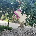 Figos Διαμέρισμα