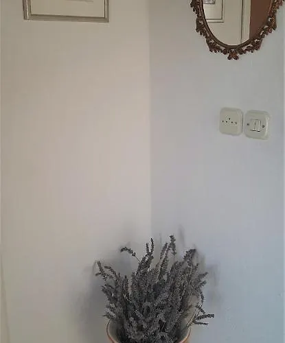 Apartman Figos